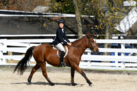 HSM_2526