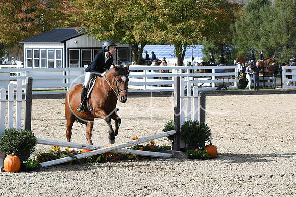 HSM_2529