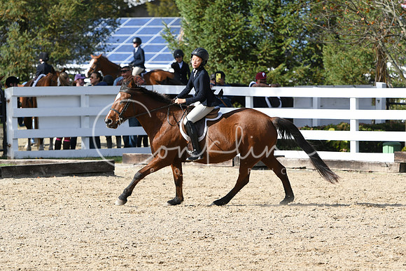 HSM_2528