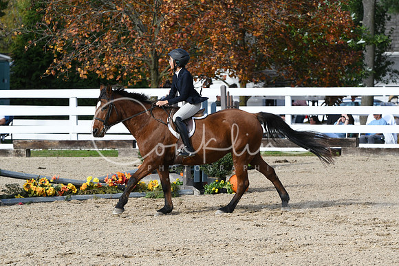 HSM_2531