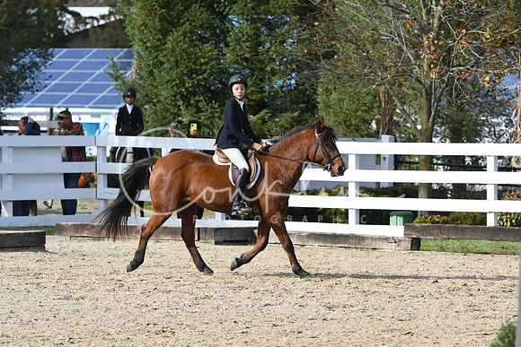 HSM_2534