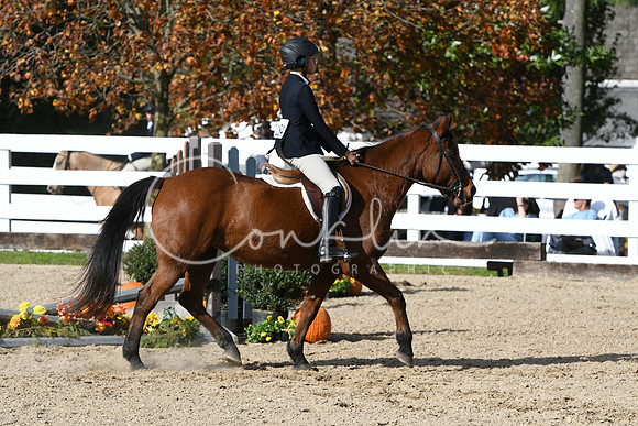 HSM_2591