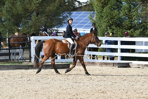 HSM_2533