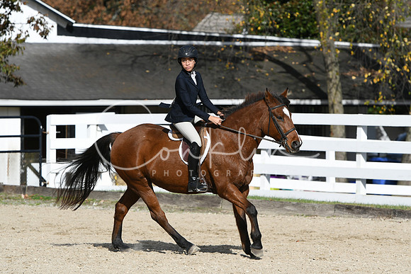 HSM_2593