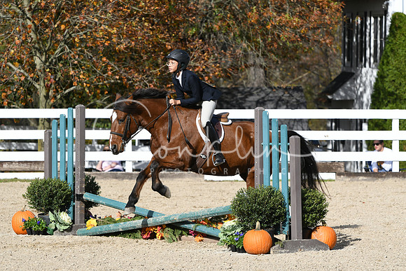 HSM_2596
