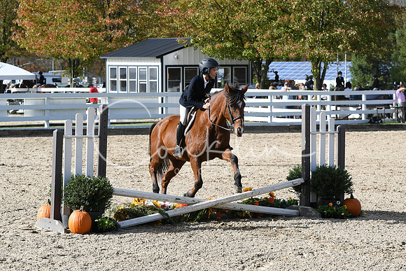 HSM_2595