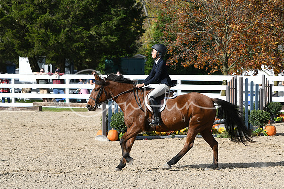 HSM_2598