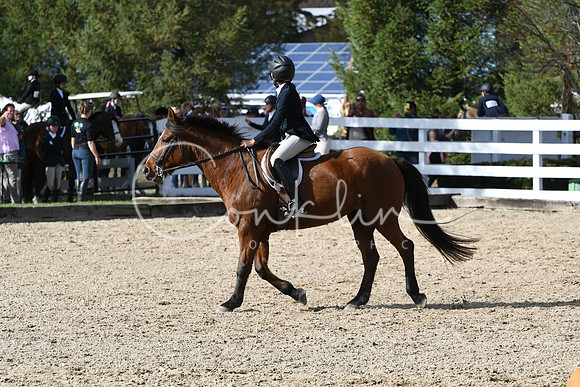 HSM_2600