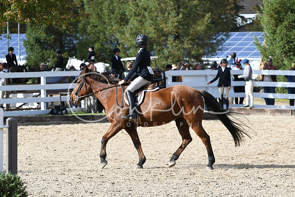 HSM_2601