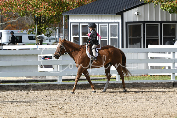 HSM_2199