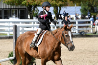 HSM_2201