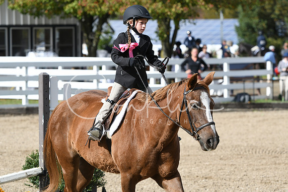 HSM_2201