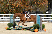 HSM_2205