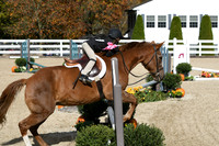 HSM_2203
