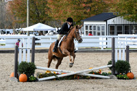 HSM_2302