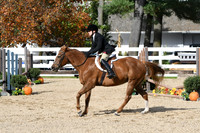 HSM_2358