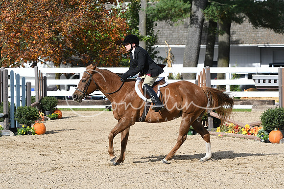 HSM_2358