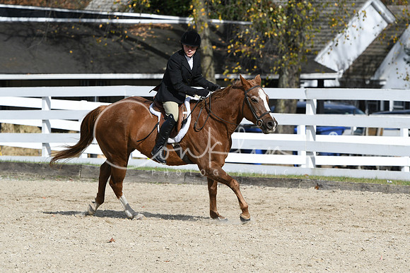 HSM_2361