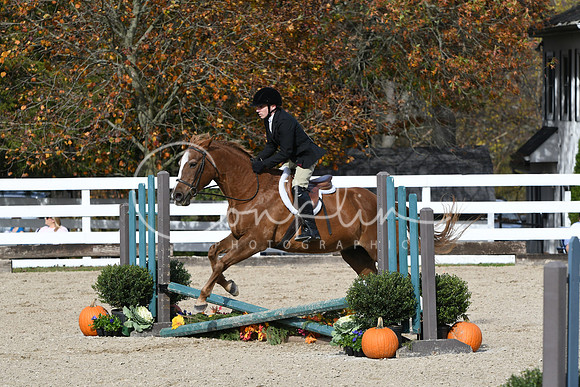 HSM_2365
