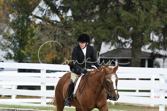 HSM_2391