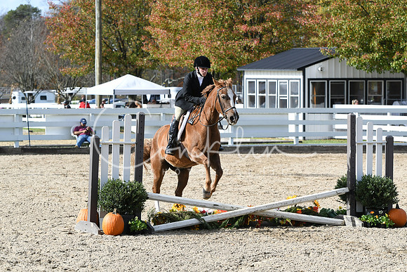 HSM_2394