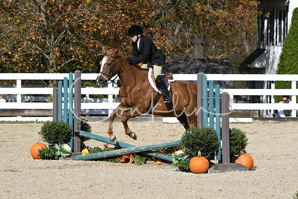 HSM_2396