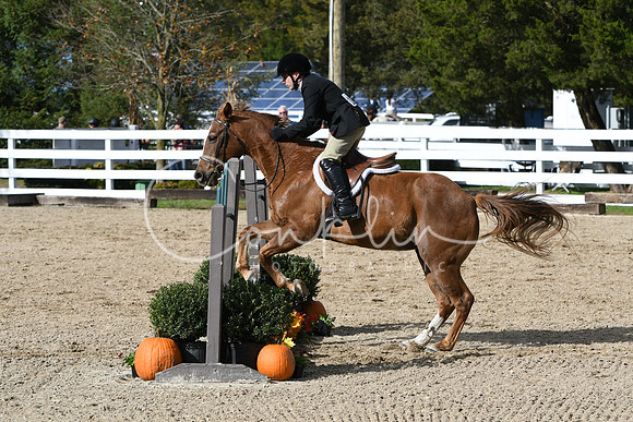 HSM_2398