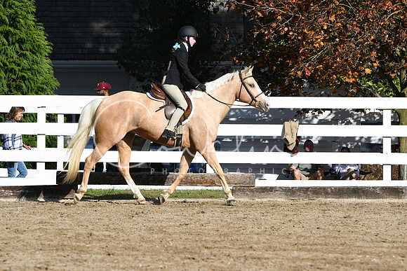 HSM_1749