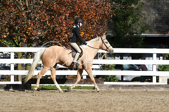 HSM_1751