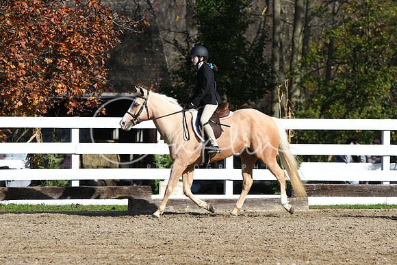 HSM_1754