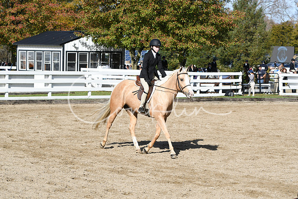 HSM_1787