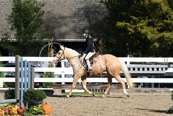 HSM_1790