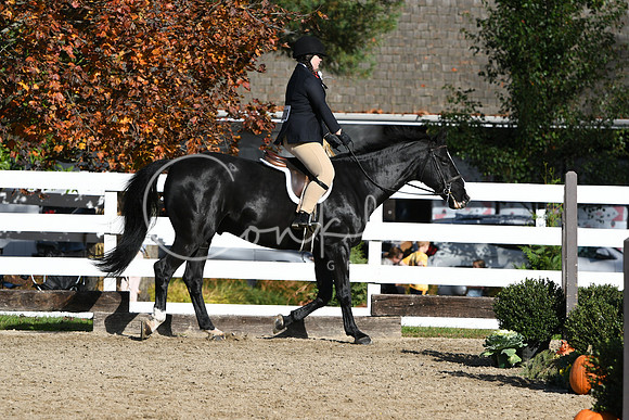 HSM_1838