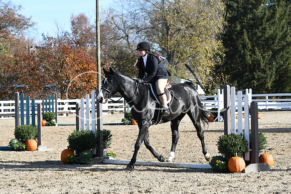 HSM_1841