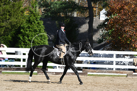 HSM_1846