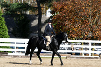 HSM_1847