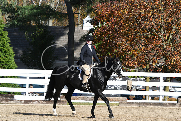 HSM_1847