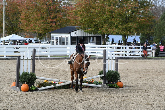 HSM_2191