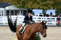 HSM_2192