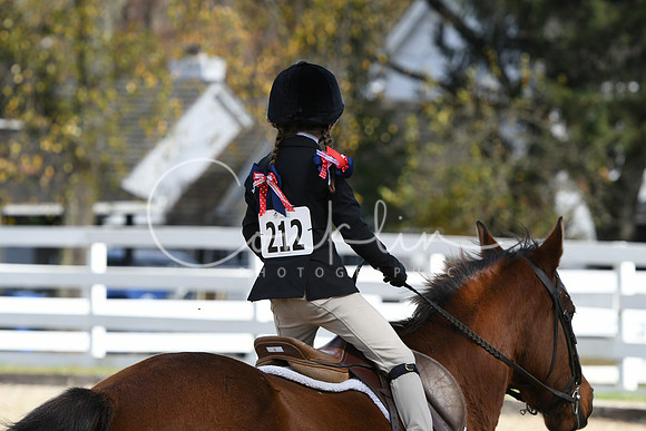 HSM_2193