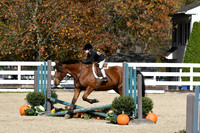 HSM_2194