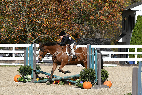 HSM_2194