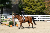 HSM_2195