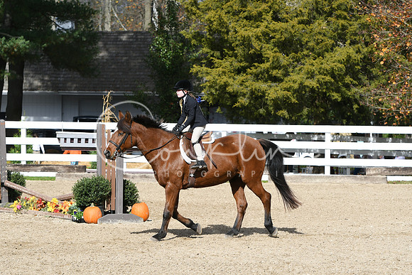 HSM_2195