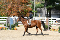 HSM_2196