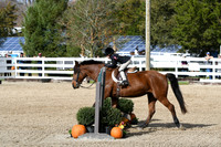 HSM_2197