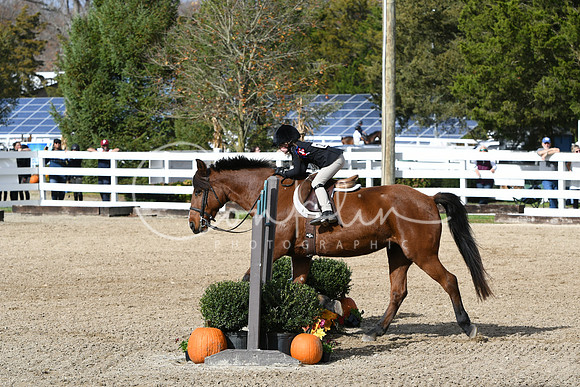 HSM_2197
