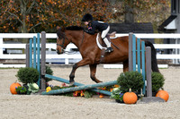 HSM_2266