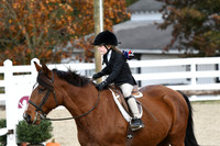 HSM_2272