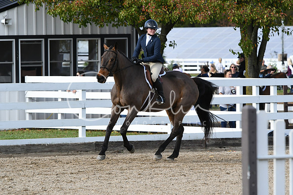 HSM_2287